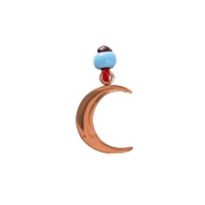 Moon Charm