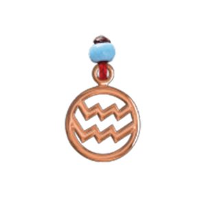 Zodiac - Aquarius Charm