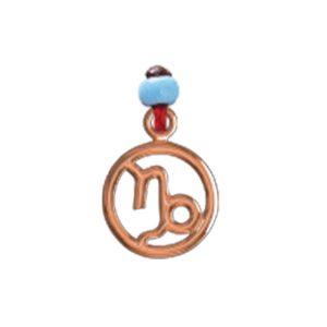Zodiac - Capricorn Charm
