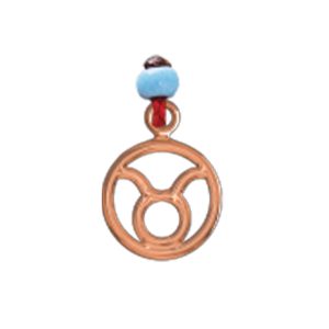 Zodiac - Taurus Charm
