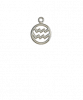 Aquarius Silver