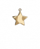 Large Star Gold