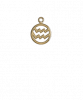 Aquarius Gold
