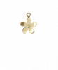 Daisy Gold