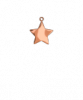 Small Star Rose Gold