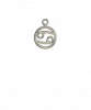 Cancer Silver
