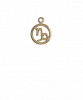 Capricorn Gold