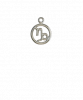 Capricorn Silver