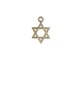 Star of David Gold