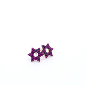 Star of David Earrings with Rubies