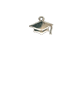 Graduation Cap Silver