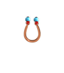 horse shoe_main image