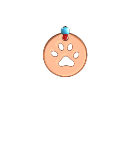 small dog paw in disc